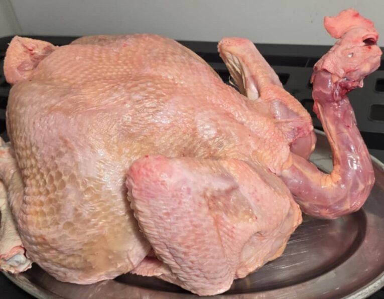 Poules et coqs nettoyés 1